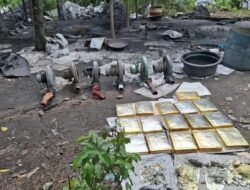 Satgas PKH Halilintar Tangkap Timah  Balok diduga Milik Oknum Kepolisian AL, Seberat 430 Kilogram di Air Anyir. 