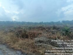 Hukum Diuji di Belilik: Ratusan Hektare Sawit Berdiri di Kawasan Lindung di Garap Oleh 10 Oknum Pengusaha.