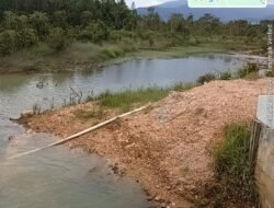 Diduga Cemari Sungai hingga Laut, PT Perlang Sawitindo Mas yang bergerak di bidang CPO “Main Kucing-Kucingan” Buang Limbah, Warga Geram