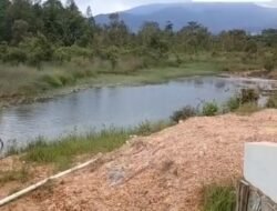Publik Minta Tindakan Tegas DLH dan DLHK ,PT PSM Diduga Cemari Lingkungan, Pemerintah Diminta Jangan Tutup Mata