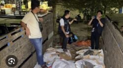 Akan Kah Kasus 13 Ton Timah Balok Penangkap Di polresta, Berakhir Seperti Film Sinetron 