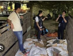 Akan Kah Kasus 13 Ton Timah Balok Penangkap Di polresta, Berakhir Seperti Film Sinetron 