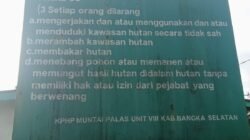 Dugaan Kuat nya Unsur Pembiaran Oleh Polres Bangka Selatan Tambang Di Hutan Produksi Milik ASUN dan Atun, Kapolres Diduga Tutup Mata. 