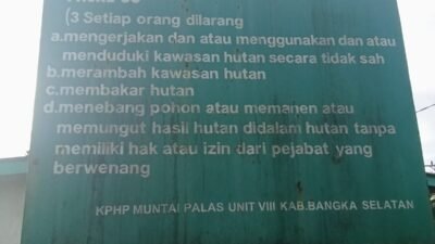 Dugaan Kuat nya Unsur Pembiaran Oleh Polres Bangka Selatan Tambang Di Hutan Produksi Milik ASUN dan Atun, Kapolres Diduga Tutup Mata. 