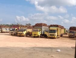 Sistem Antrean PKS PT Tama Buana Jaya Dipersoalkan, Masyarakat Soroti Dugaan Perlakuan Khusus dalam Penimbangan TBS